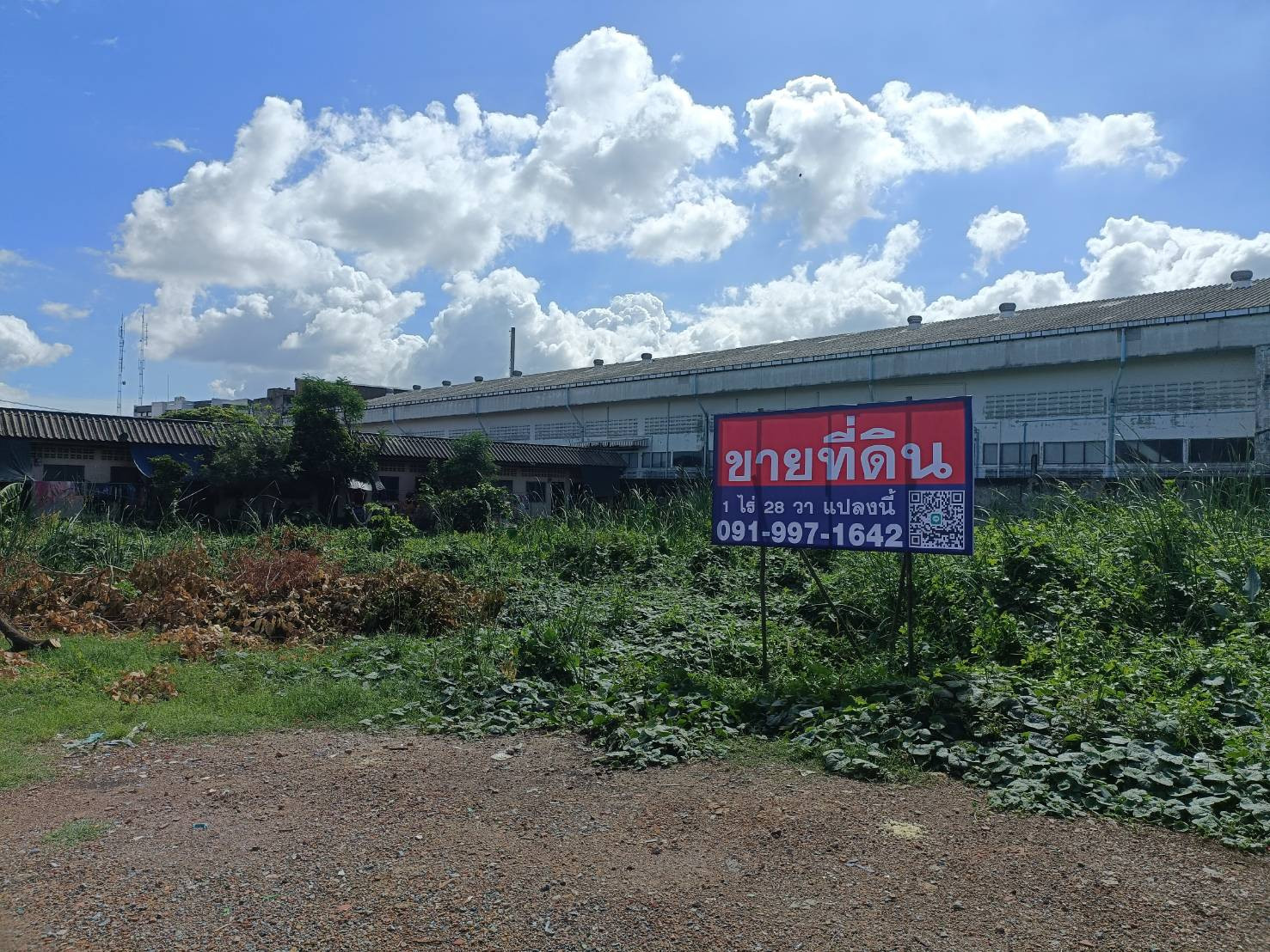 ขาย ที่ดินสวย 1ไร่ 28วา ไร่ขิง30 เพียง 200 เมตร จาก ถนนพุทธมณฑลสาย5 ใกล้ ถนนเพชรเกษม
