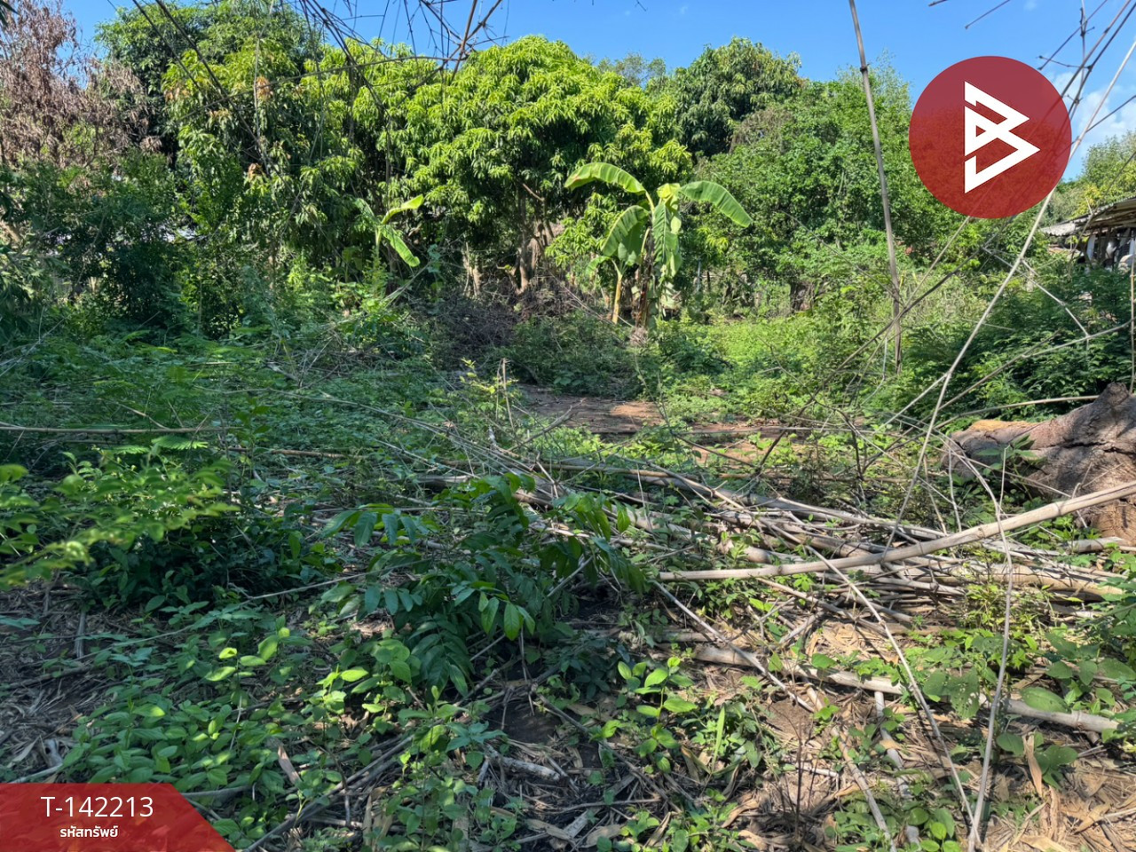 Land for sale, area 1 ngan, long plot, Chachoengsao – รูปที่ 2