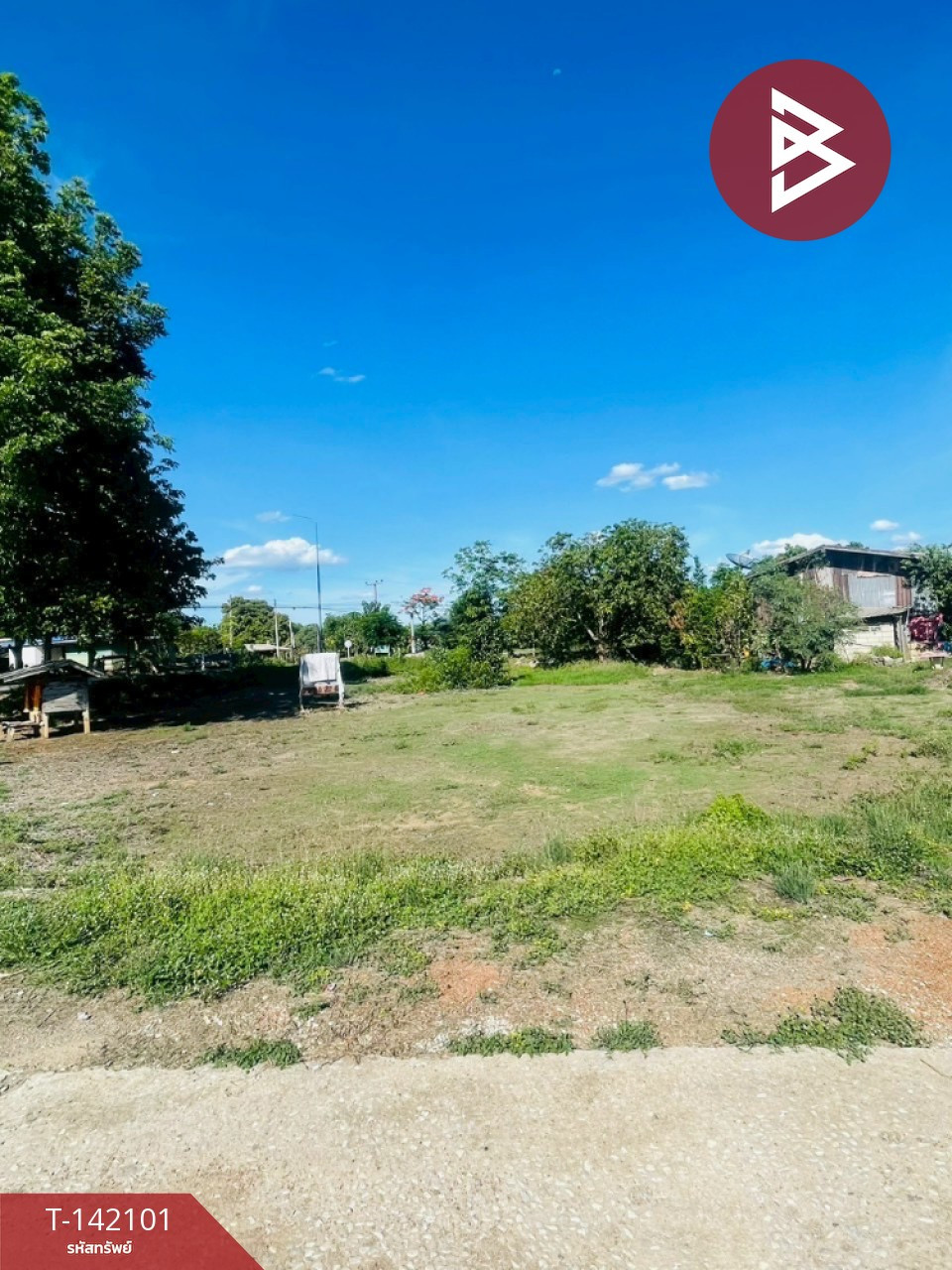 ขายที่ดิน เนื้อที่ 1 งาน 35 ตร.วา ไทรงาม กำแพงเพชร – รูปที่ 3