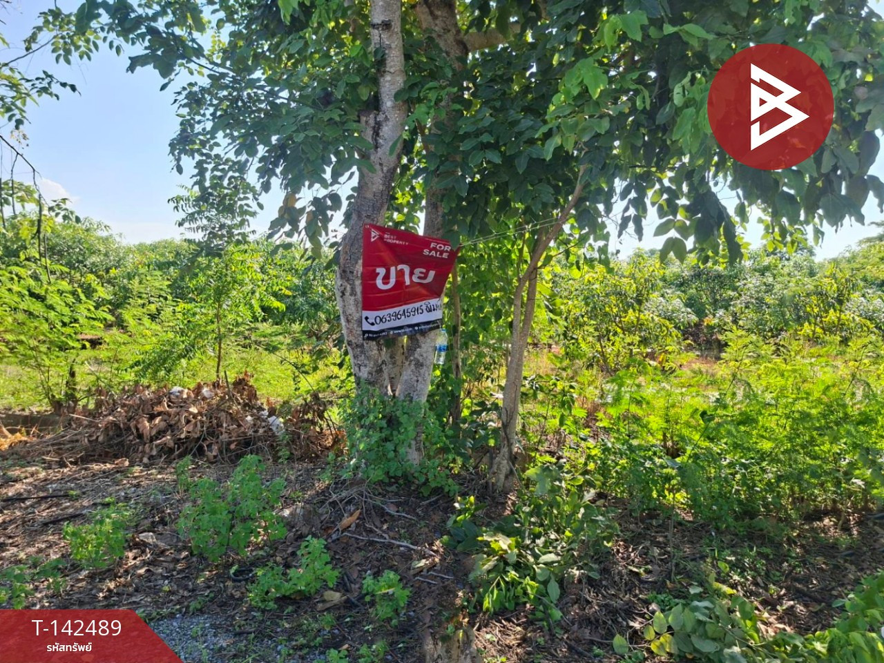 Land for sale, area 7 rai 2 ngan 23.0 square wa, Doembang Nangbuat District, Suphan Buri. – รูปที่ 4