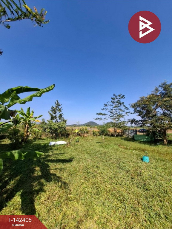 ขายที่ดิน เนื้อที่ 2 งาน 84.1 ตร.วา สันทราย เชียงราย ขายที่ดิน เนื้อที่ 2 งาน 84.1 ตร.วา สันทราย เชียงราย