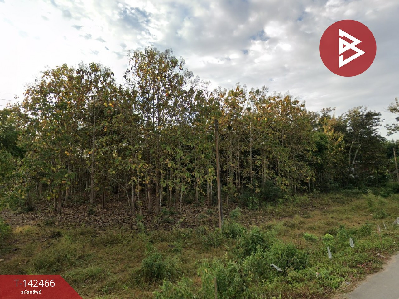 ขายที่ดิน เนื้อที่ 17 ไร่ 2 งาน 65.6 ตร.วา เชียงของ เชียงราย – รูปที่ 2