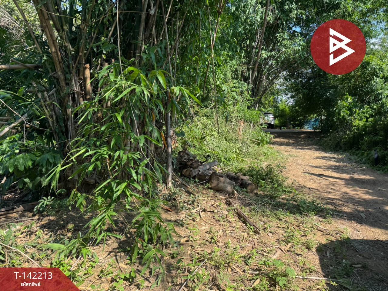 Land for sale, area 1 ngan, long plot, Chachoengsao – รูปที่ 4