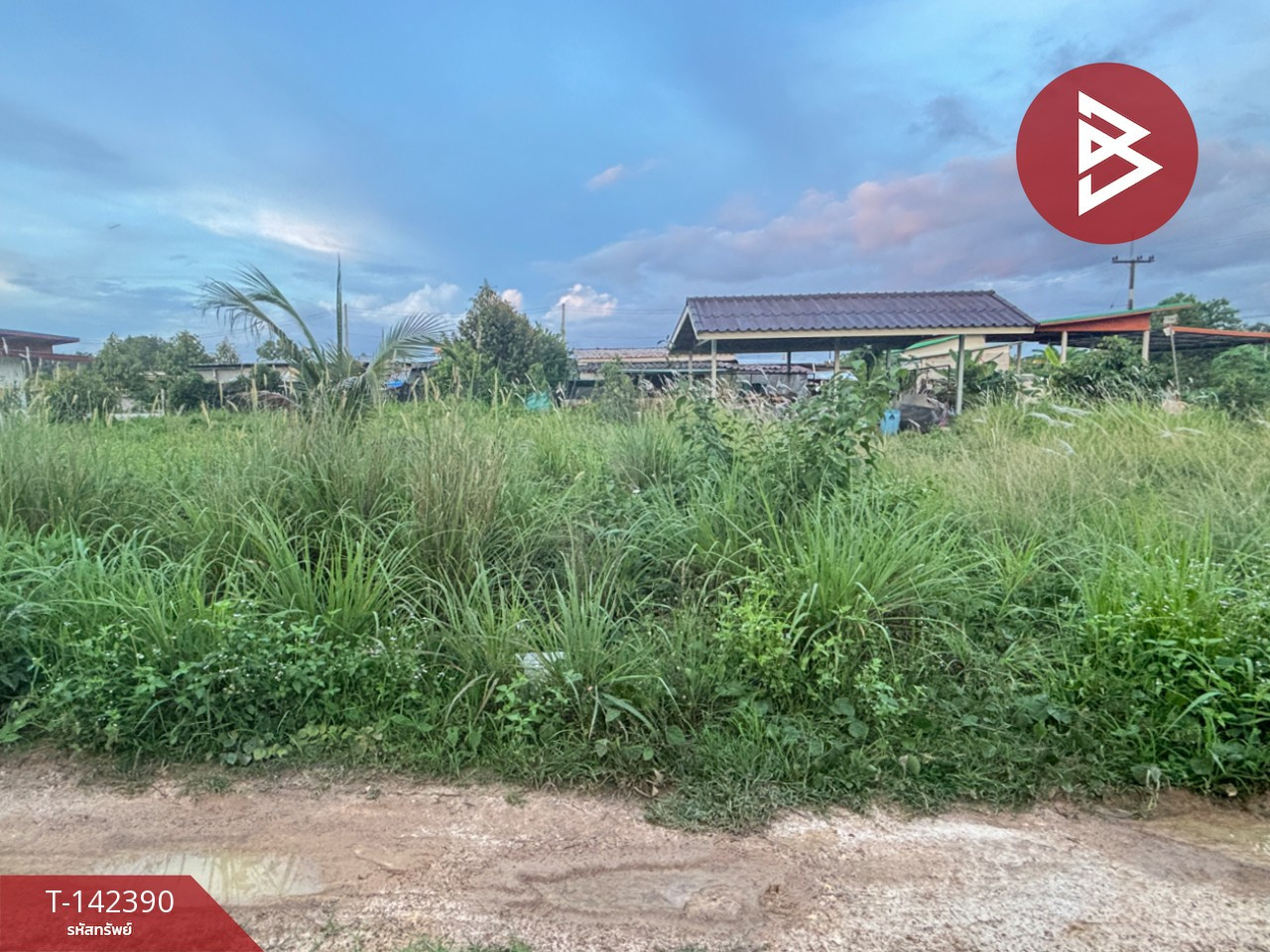 ขายที่ดิน เนื้อที่ 1 งาน 48.8 ตร.วา มะขาม จันทบุรี ขายที่ดิน เนื้อที่ 1 งาน 48.8 ตร.วา มะขาม จันทบุรี