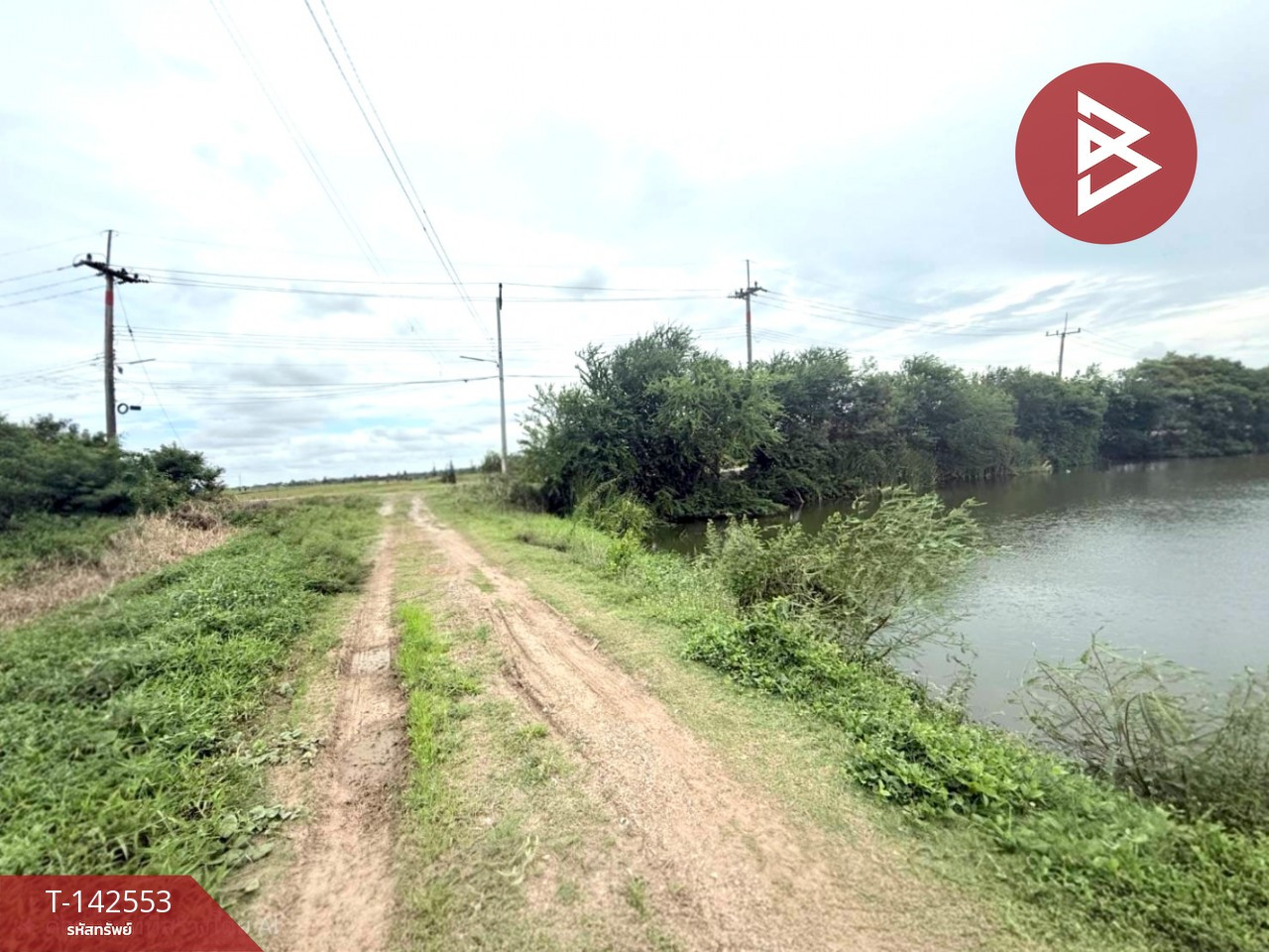 Land for sale, area 4 rai 3 ngan 37.8 sq m, Wang Takhian, Chachoengsao. – รูปที่ 3