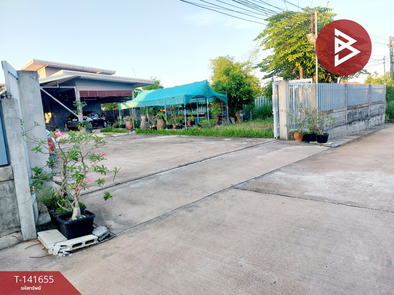 ขายบ้านเดี่ยว พร้อมกิจการบ้านเช่า โพนพิสัย หนองคาย ทำเลติดถนนใหญ่ – รูปที่ 2