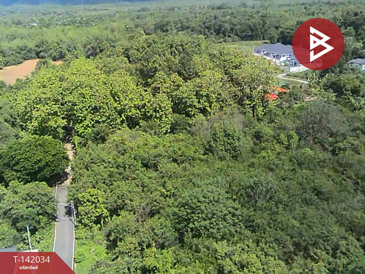 Land for sale, area 4 rai 3 ngan 81.5 square wah, Hua Wiang, Lampang. – รูปที่ 2