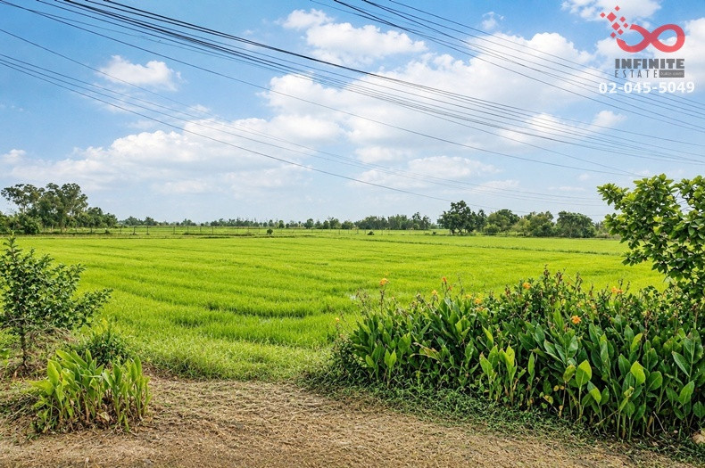 ขายที่ดิน 3 ไร่ ติดถนน ใกล้ที่ทำการการไฟฟ้าภูมิภาค หนองหญ้าไซ สุพรรณบุรี แปลงสวย – รูปที่ 4