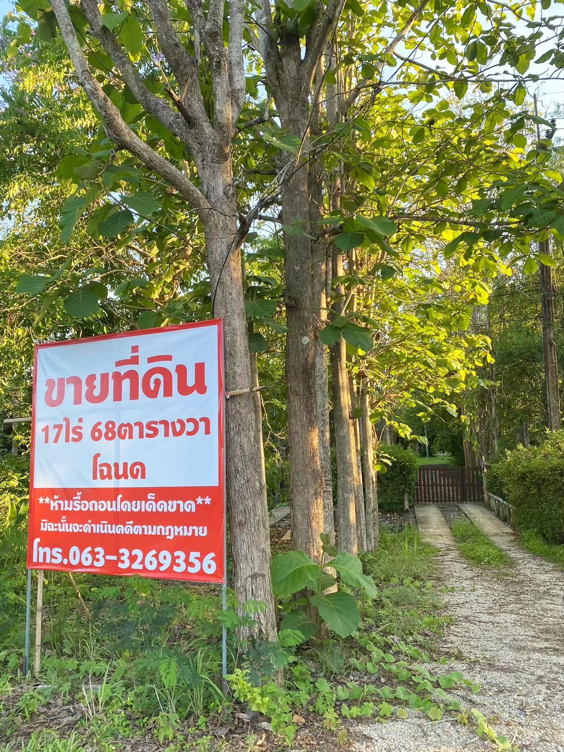 ขายหรือเช่าที่ดิน 17.68 ไร่ ทำเลทอง ติดถนนสายหลัก หมายเลข 323 ทองผาภูมิ – รูปที่ 3