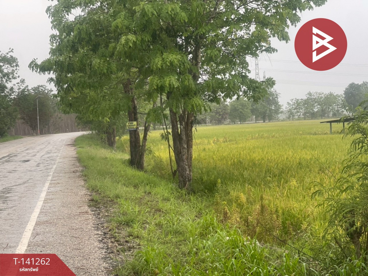 Land for sale, area 22 rai 7 sq m, Khanu Woralaksaburi, Kamphaeng Phet. – รูปที่ 2
