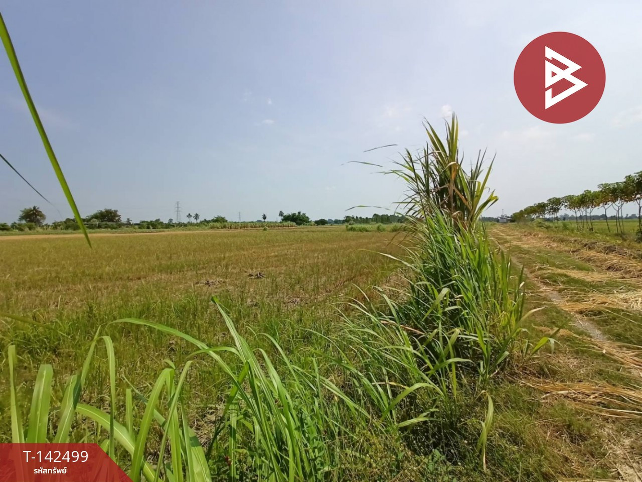 ขายที่ดิน เนื้อที่ 2 ไร่ 2 งาน 99.2 ตร.วา บ้านมะเกลือ นครสวรรค์ – รูปที่ 2