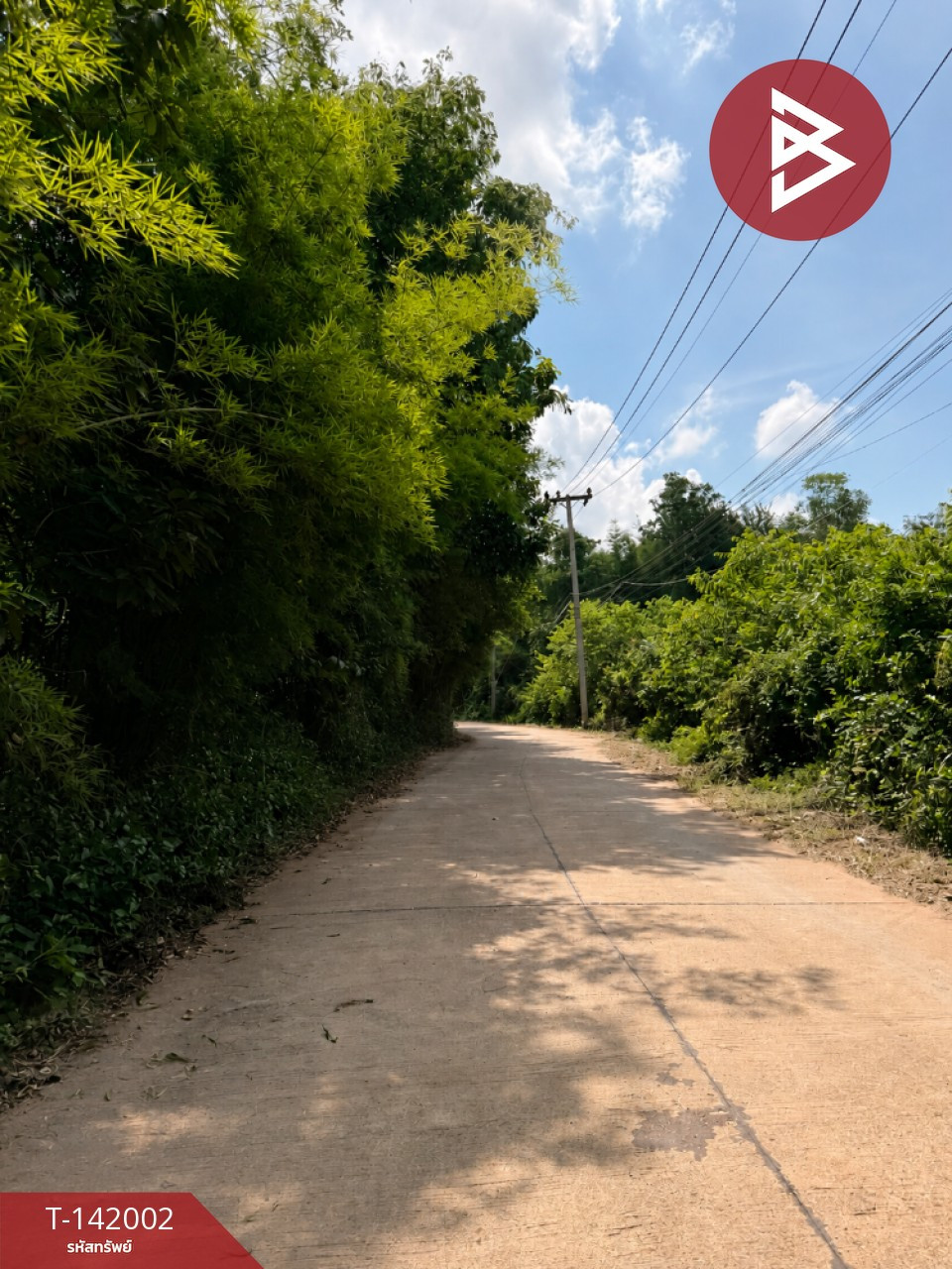 ขายที่ดิน เนื้อที่ 10 ไร่ 3 งาน 24.9 ตารางวา อ.ประจันตคาม จ.ปราจีนบุรี – รูปที่ 3
