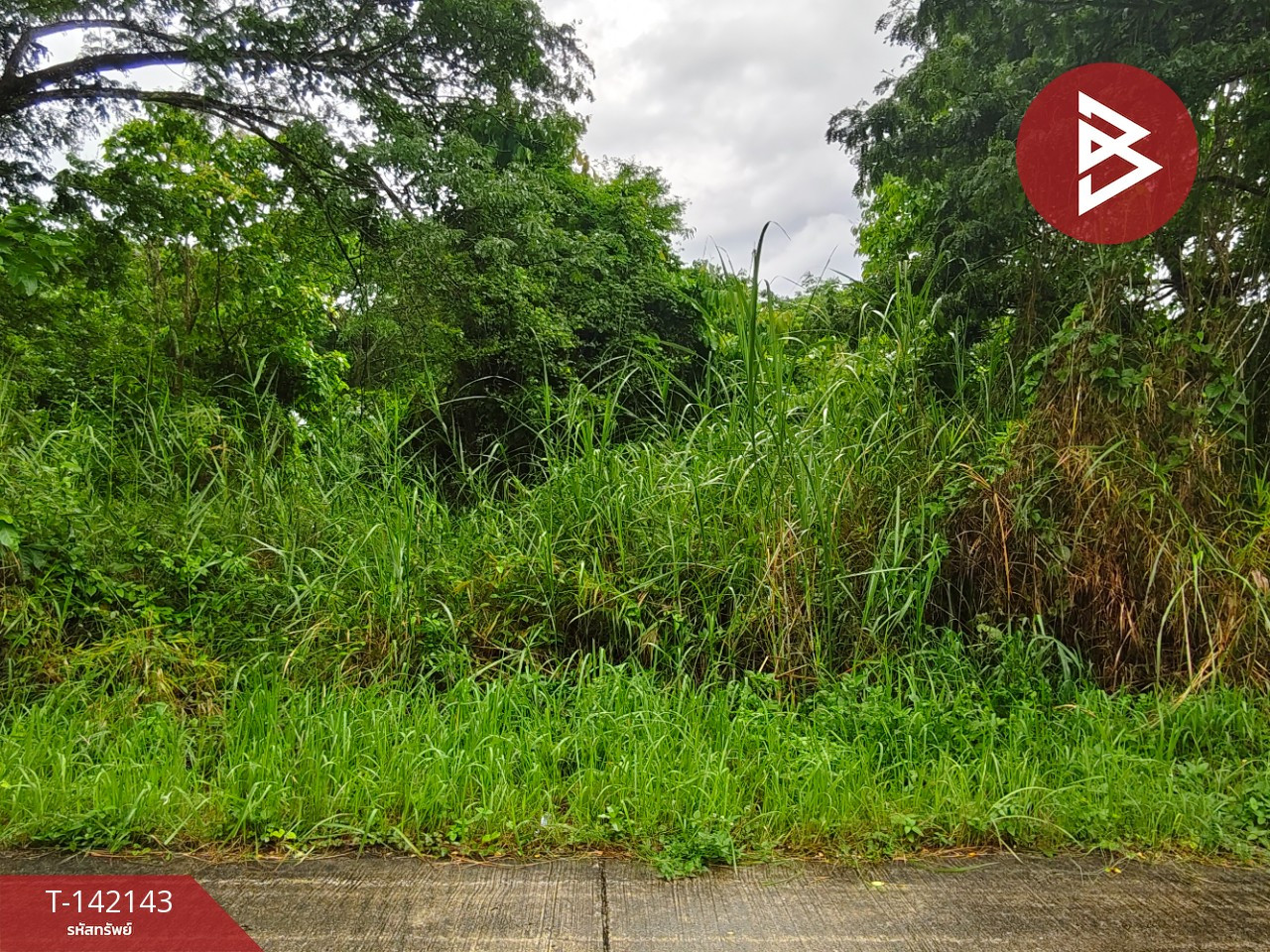 Land for sale, area 1 ngan 44.1 sq m, Tha Sak, Nakhon Si Thammarat. Land for sale, area 1 ngan 44.1 sq m, Tha Sak, Nakhon Si Thammarat.