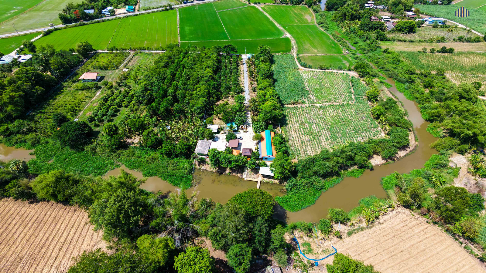 Urgent Sale! Waterfront Resort-Style Land with 5 Guest Rooms A shady atmosphere nestled amidst a fruit orchard. Total usable area of over 4.5 Rai. Located in Yang Non, Doem Bang Nang Buach, Suphan Buri. Incredible value! – รูปที่ 2