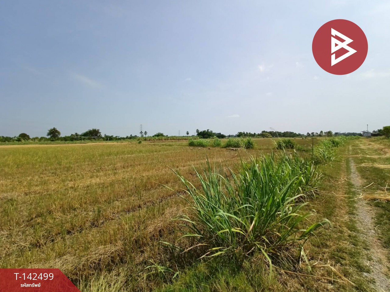 ขายที่ดิน เนื้อที่ 2 ไร่ 2 งาน 99.2 ตร.วา บ้านมะเกลือ นครสวรรค์ – รูปที่ 3