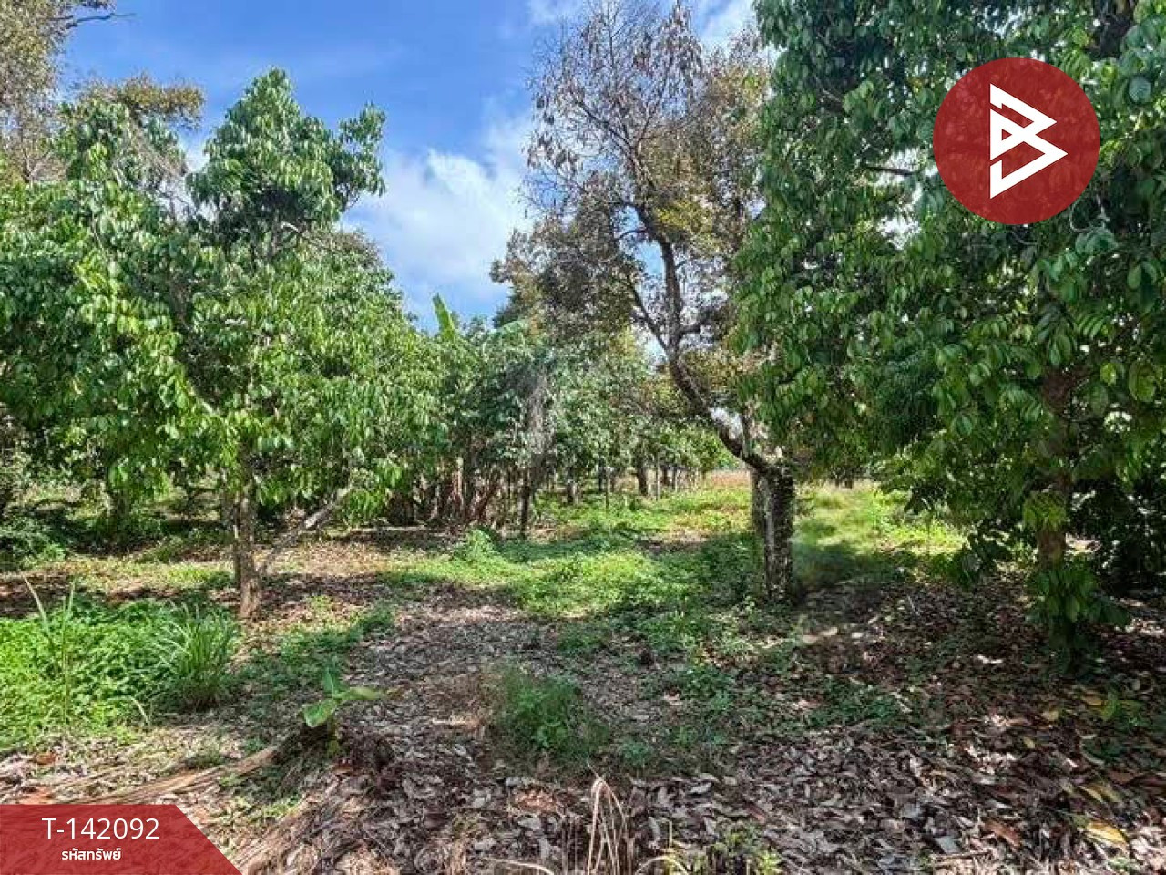 Land for sale, area 2 rai 3 ngan 40 square wah, Khao Wua, Tha Mai, Chanthaburi. – รูปที่ 4
