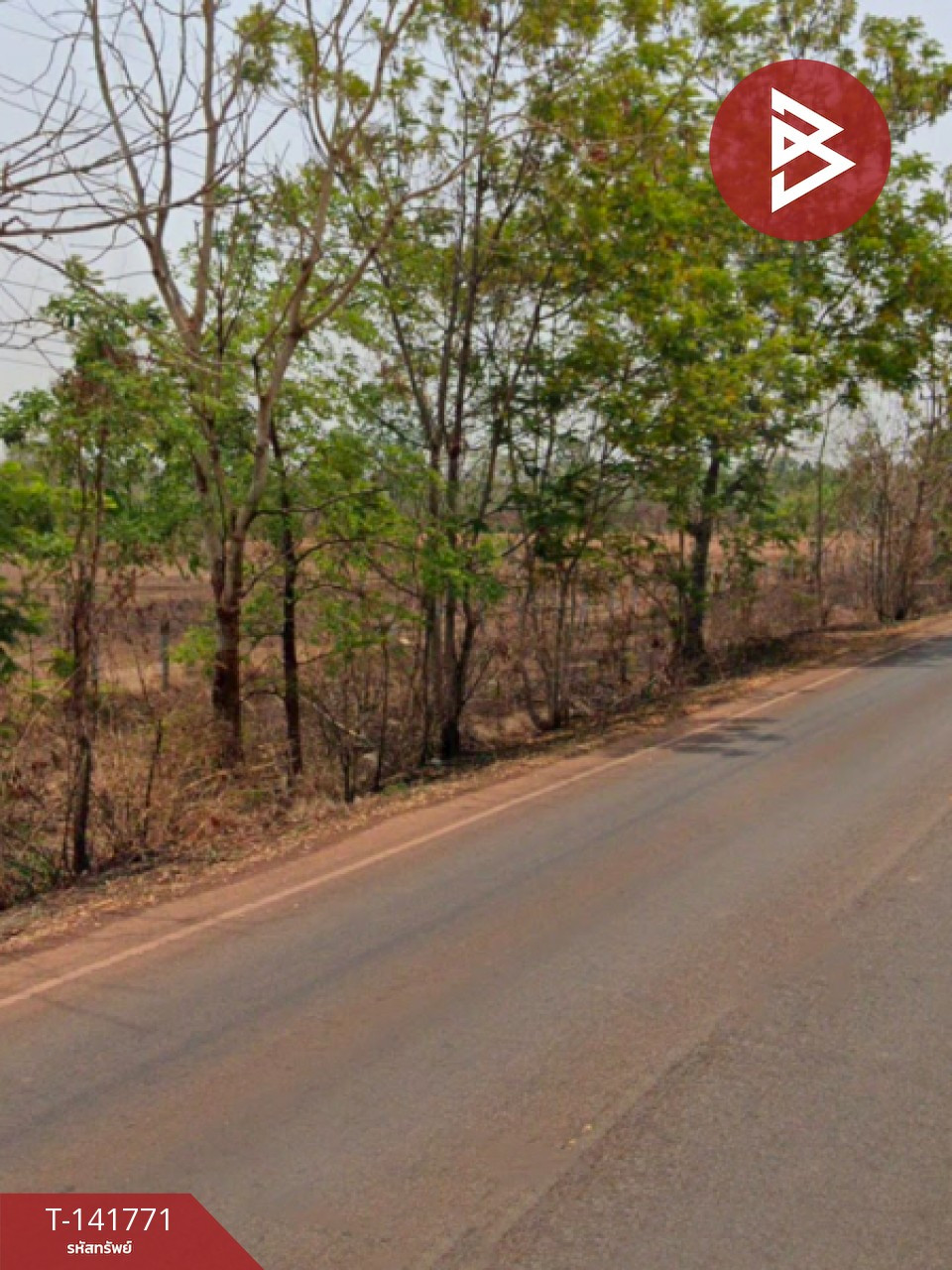ขายที่ดิน เนื้อที่ 24 ไร่ 1 งาน 7 ตร.วา โพนสวรรค์ นครพนม – รูปที่ 2