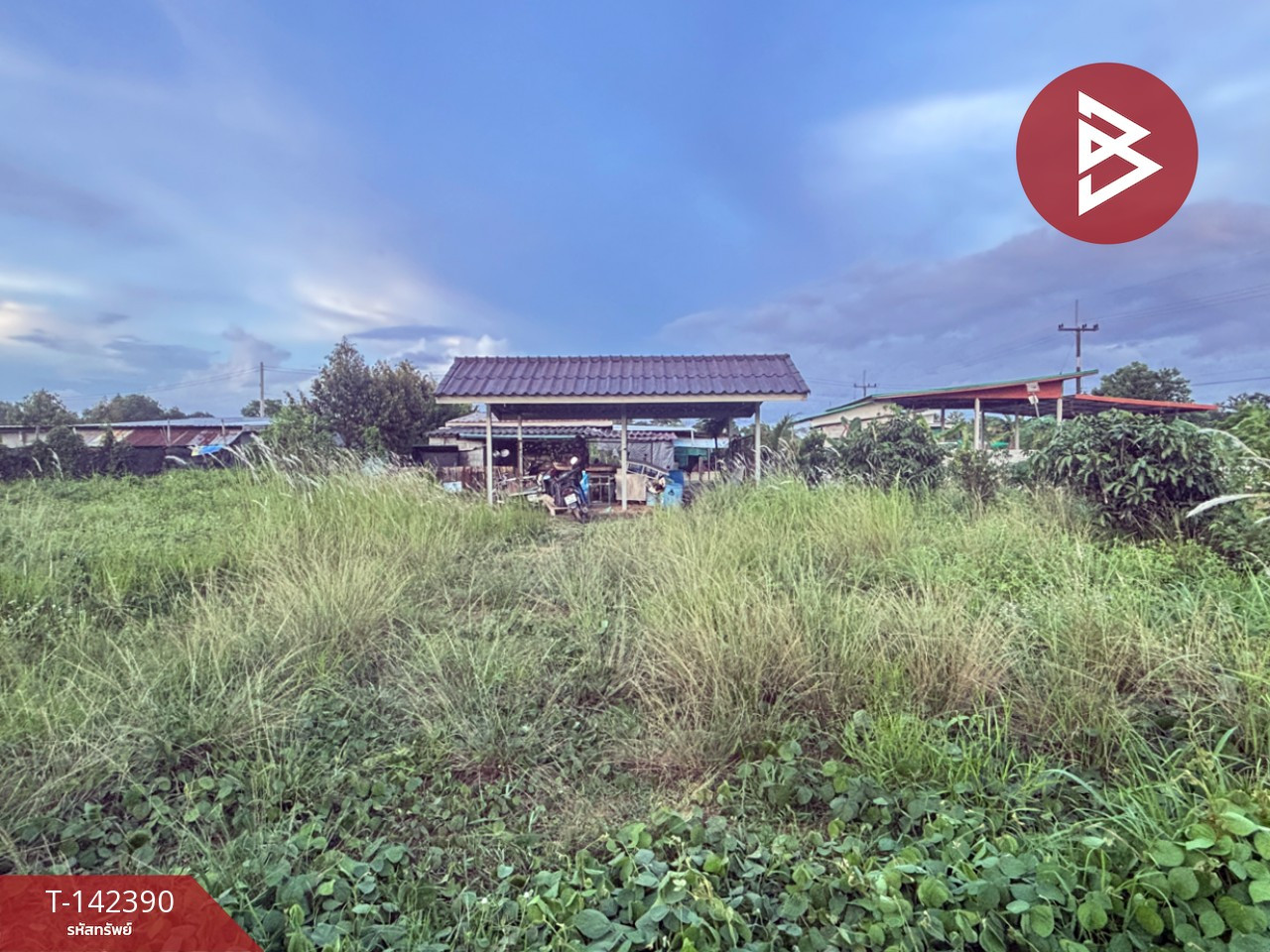 Land for sale, area 1 ngan, 48.8 sq m, Makham, Chanthaburi. – รูปที่ 4