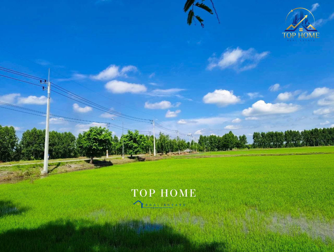 Urgent sale❗️Empty land 106 rai 2 ngan 60 square wah 3,000 baht/square wah Bang Nam Priao District Chachoengsao Province – รูปที่ 3