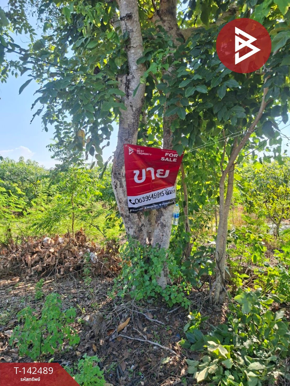 Land for sale, area 7 rai 2 ngan 23.0 square wa, Doembang Nangbuat District, Suphan Buri. – รูปที่ 3
