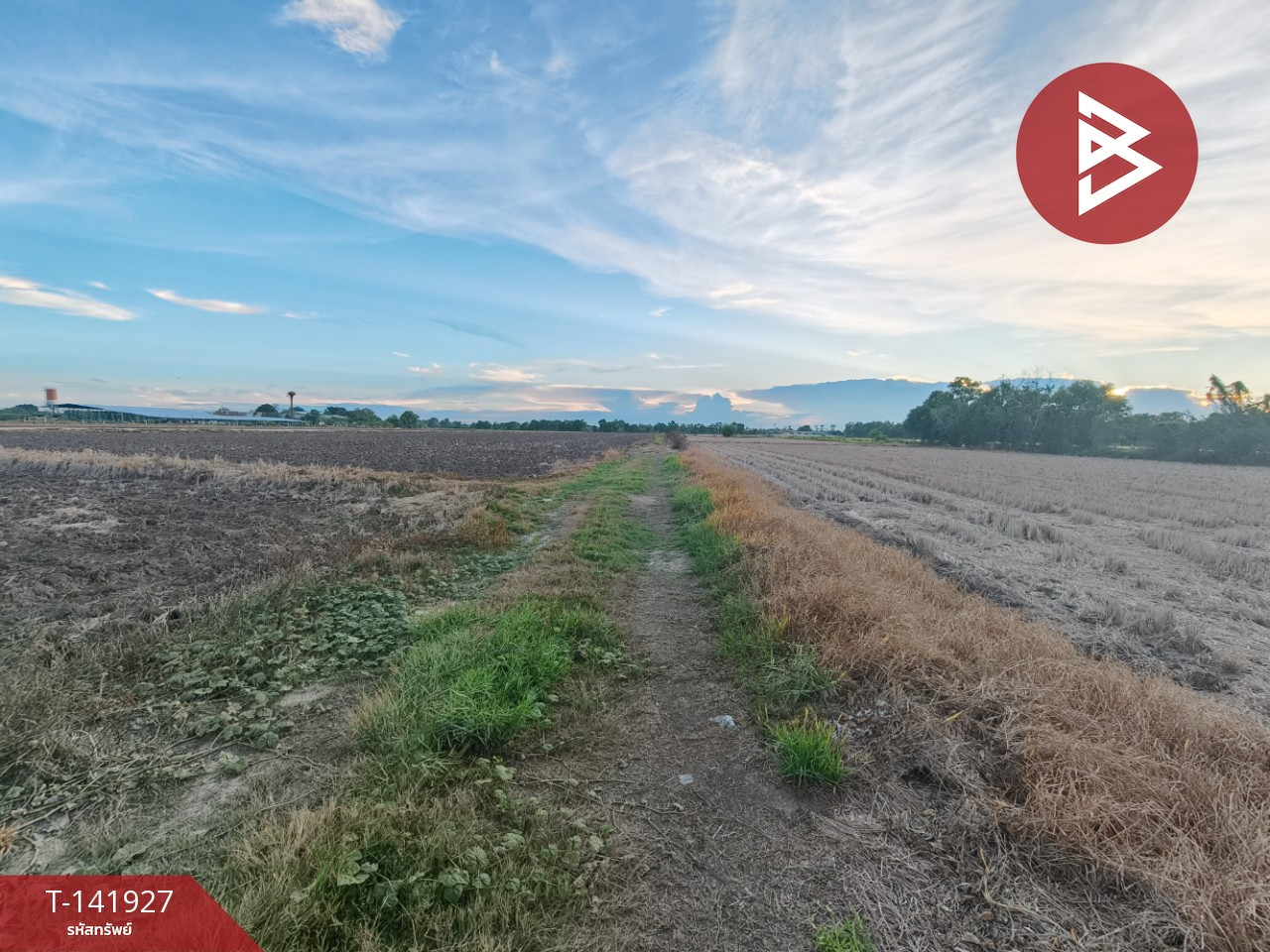 Land for sale, area 90 sq m, Bang Khwan, Chachoengsao. Land for sale, area 90 sq m, Bang Khwan, Chachoengsao.