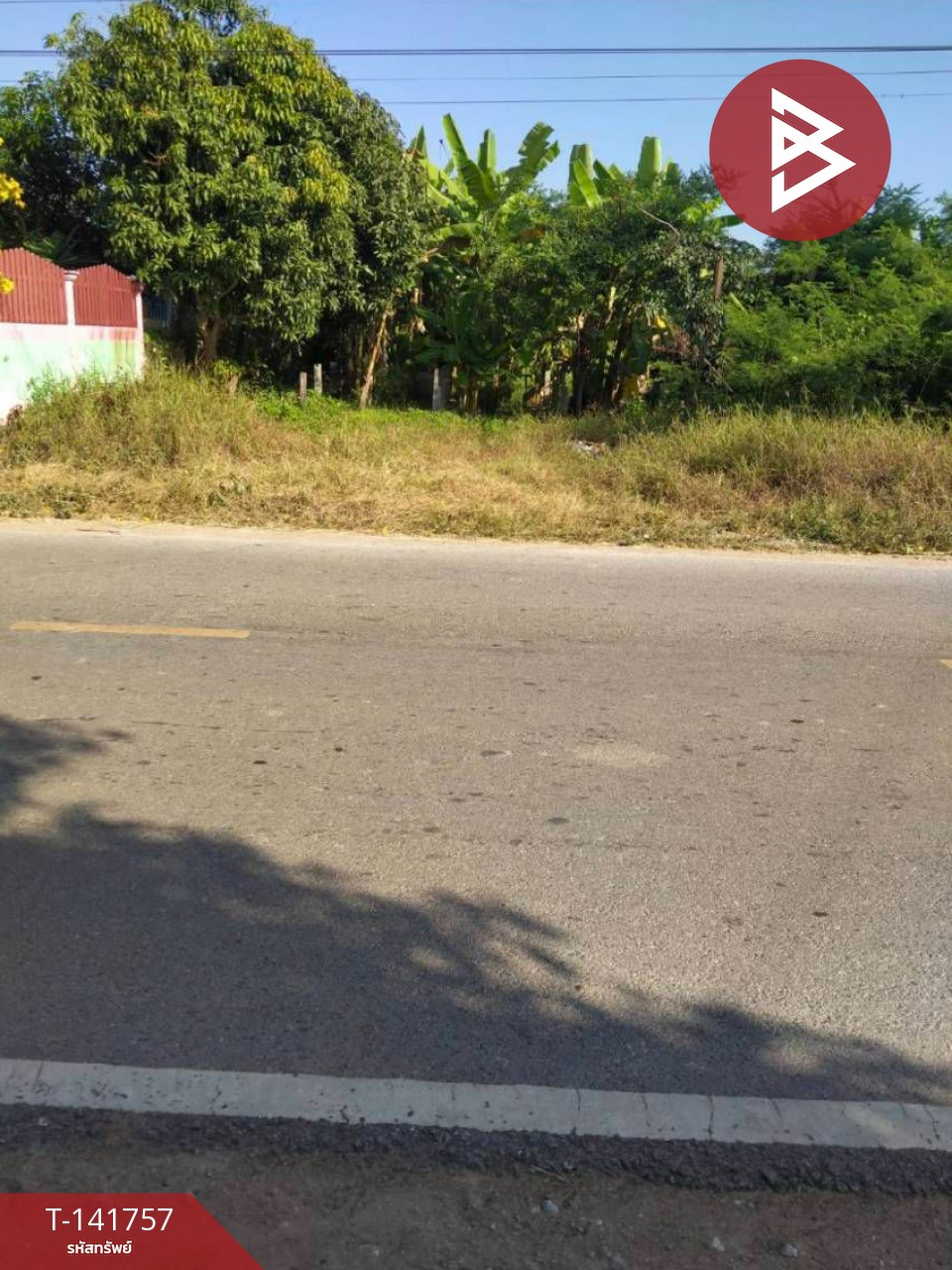 ขายที่ดิน เนื้อที่ 2 งาน 89.7 ตร.วา ลาดยาว นครสวรรค์ – รูปที่ 4