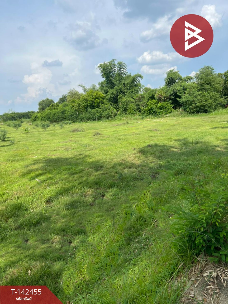 Urgent sale of land, area 10 rai 27 square wah, Sao Hai, Saraburi. – รูปที่ 4