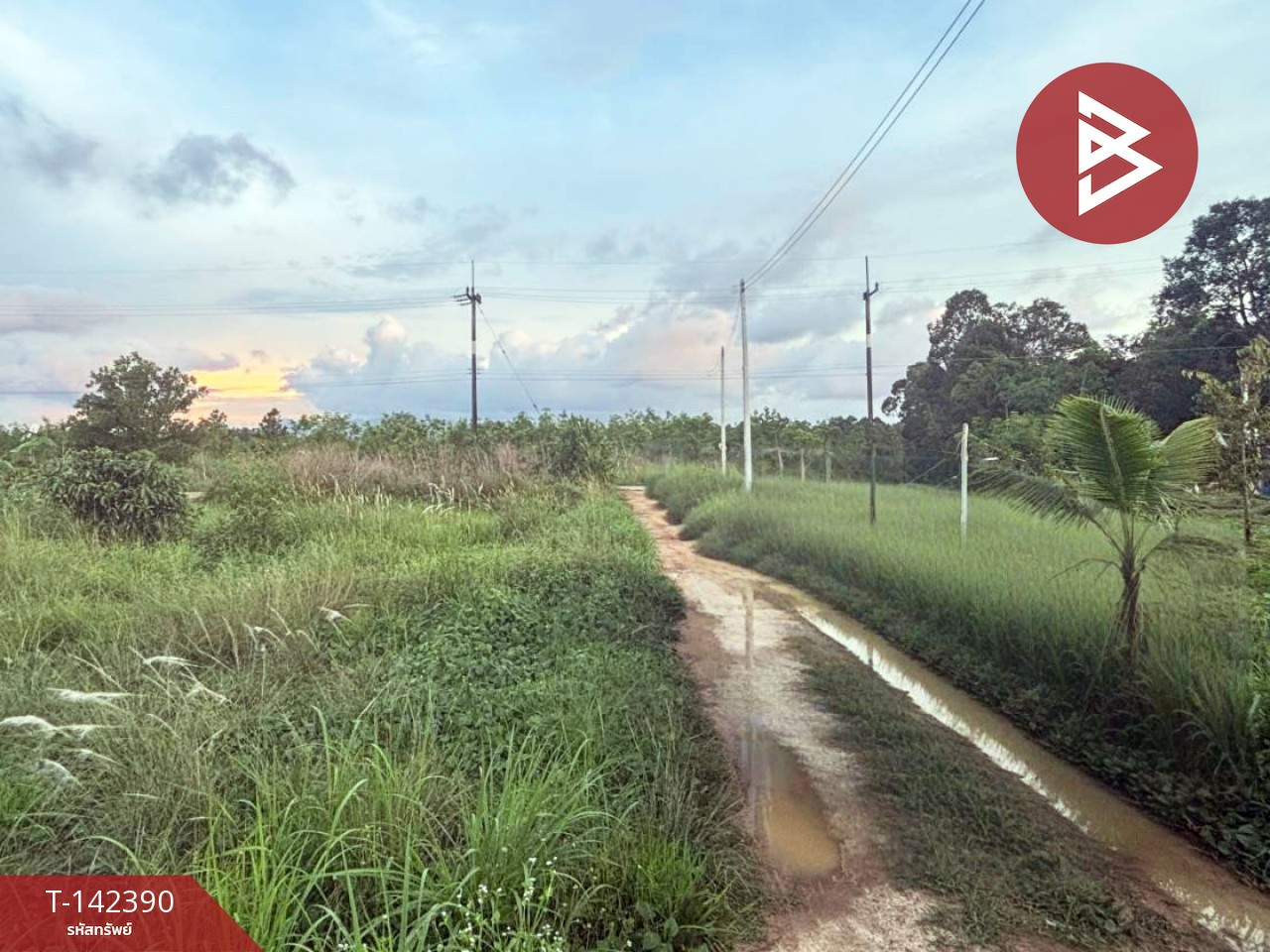 Land for sale, area 1 ngan, 48.8 sq m, Makham, Chanthaburi. – รูปที่ 3