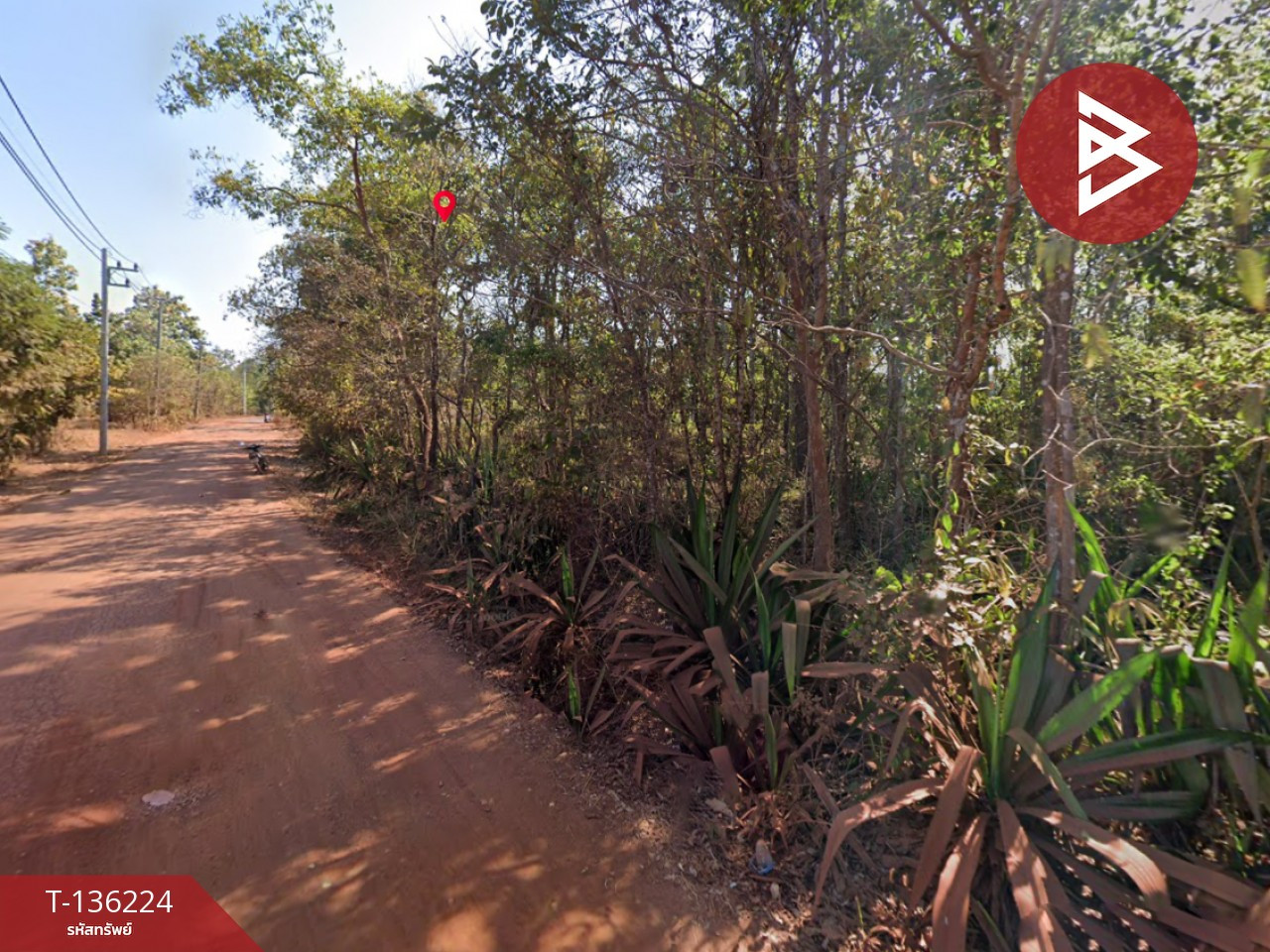 Land for sale, area 55 rai 40 square wa, Phon Na Kaeo, Sakon Nakhon Land for sale, area 55 rai 40 square wa, Phon Na Kaeo, Sakon Nakhon