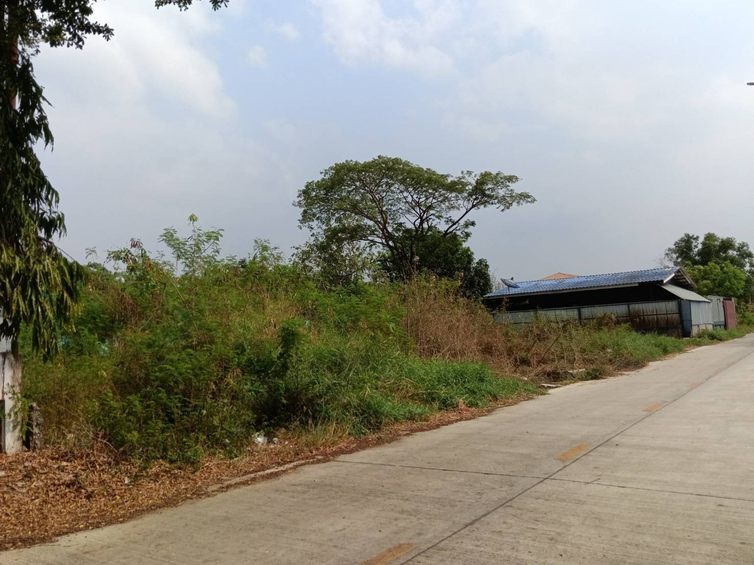 Land for sale, 219 sq m., beautiful land, good location, Khlong Luang - Khlong Si, Pathum Thani. – รูปที่ 4