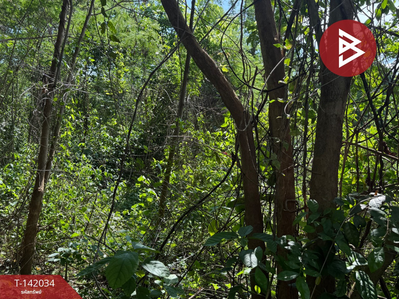 Land for sale, area 4 rai 3 ngan 81.5 square wah, Hua Wiang, Lampang. – รูปที่ 4