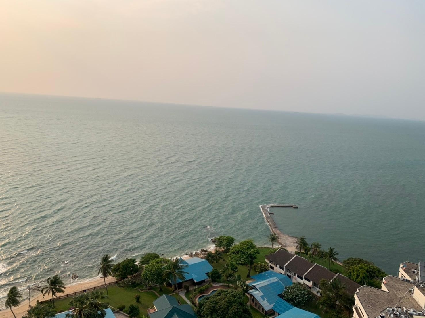 For rent the palm wongamat beach  fully furnished (S03-1243) 