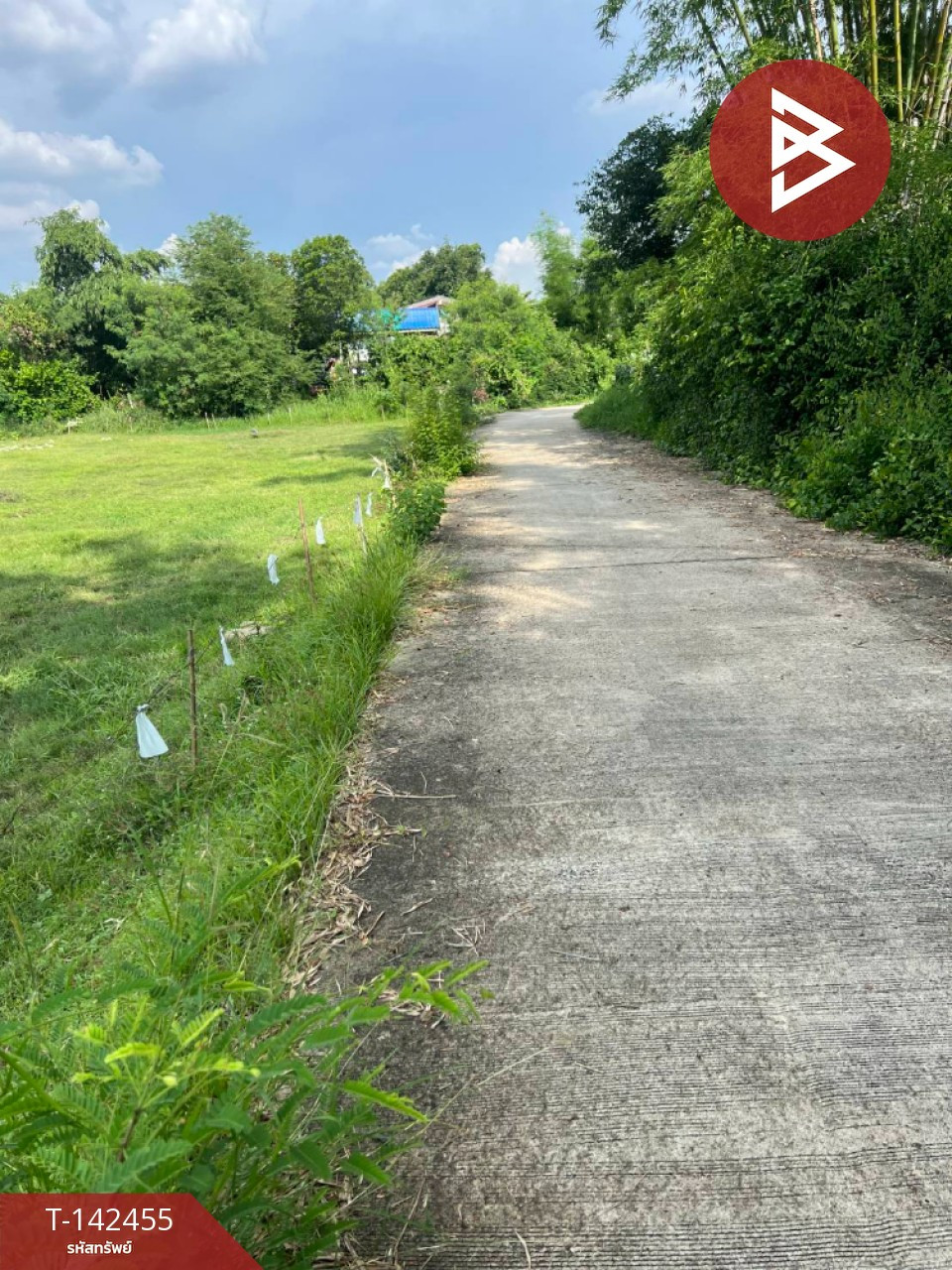 Urgent sale of land, area 10 rai 27 square wah, Sao Hai, Saraburi. – รูปที่ 2