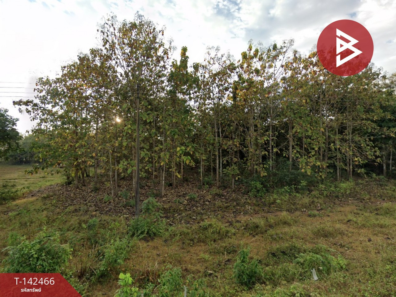 ขายที่ดิน เนื้อที่ 17 ไร่ 2 งาน 65.6 ตร.วา เชียงของ เชียงราย – รูปที่ 4