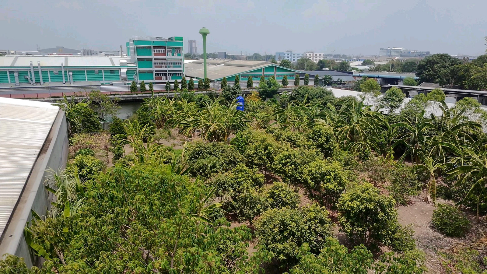 🌟 Very beautiful land Prime location next to Saen Saep Canal! Ramkhamhaeng 187/1, 6 separate plots, beautiful, hard to find, suitable for investment 🌟 – รูปที่ 4