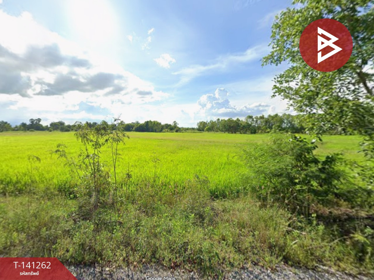 Land for sale, area 22 rai 7 sq m, Khanu Woralaksaburi, Kamphaeng Phet. – รูปที่ 3