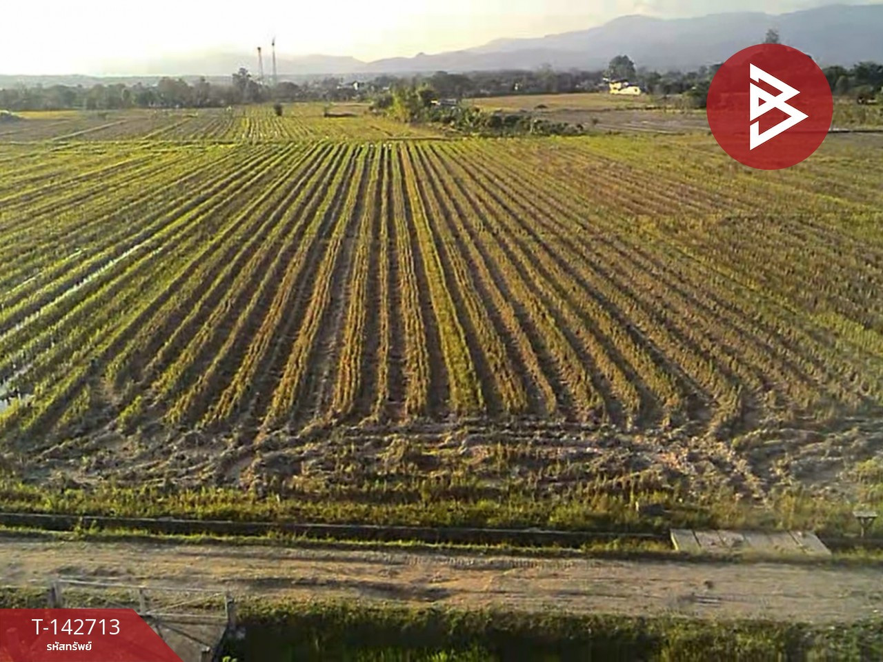 ขายที่ดิน เนื้อที่ 4 ไร่ 50.3 ตร.วา แม่แตง เชียงใหม่ – รูปที่ 4