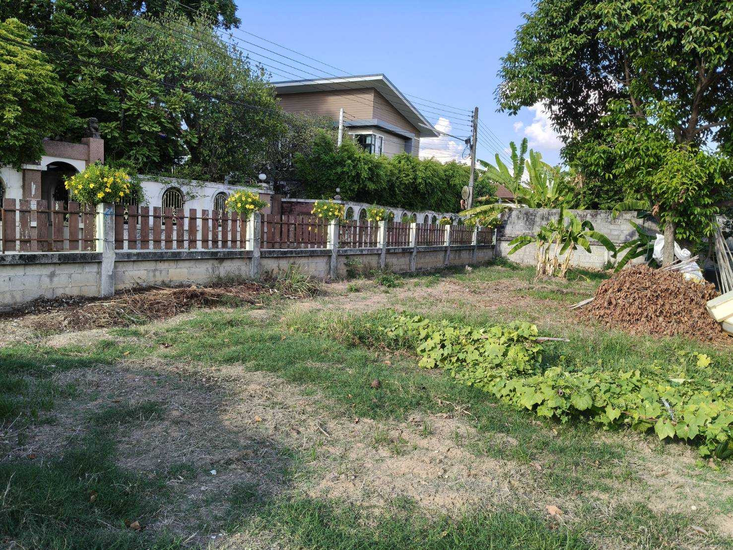 บ้านพร้อมที่ดินผืนใหญ่ ใกล้สี่แยกวุ่นวาย ทำเลเมือง บรรยากาศส่วนตัว – รูปที่ 4