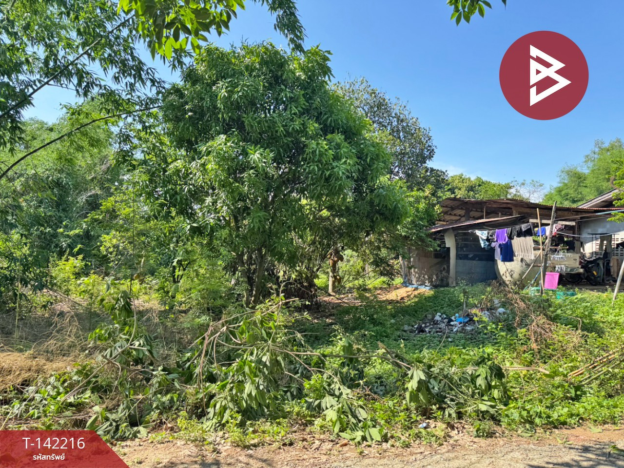 Land for sale, area 1 ngan, long plot, Chachoengsao – รูปที่ 3