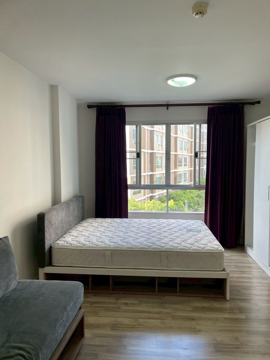 ✨️ For rent D-Condo Campus Resort Rangsit (Phase 2) ✨️ ✨️ For rent D-Condo Campus Resort Rangsit (Phase 2) ✨️
