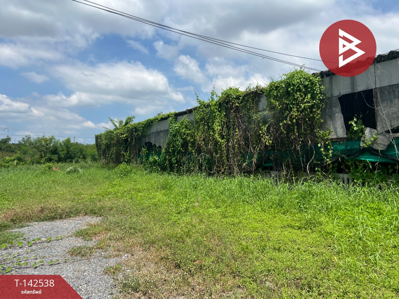 Land for sale with buildings, area 3 rai 1 ngan 18.1 square wah, Suan Pan, Nakhon Pathom. – รูปที่ 3