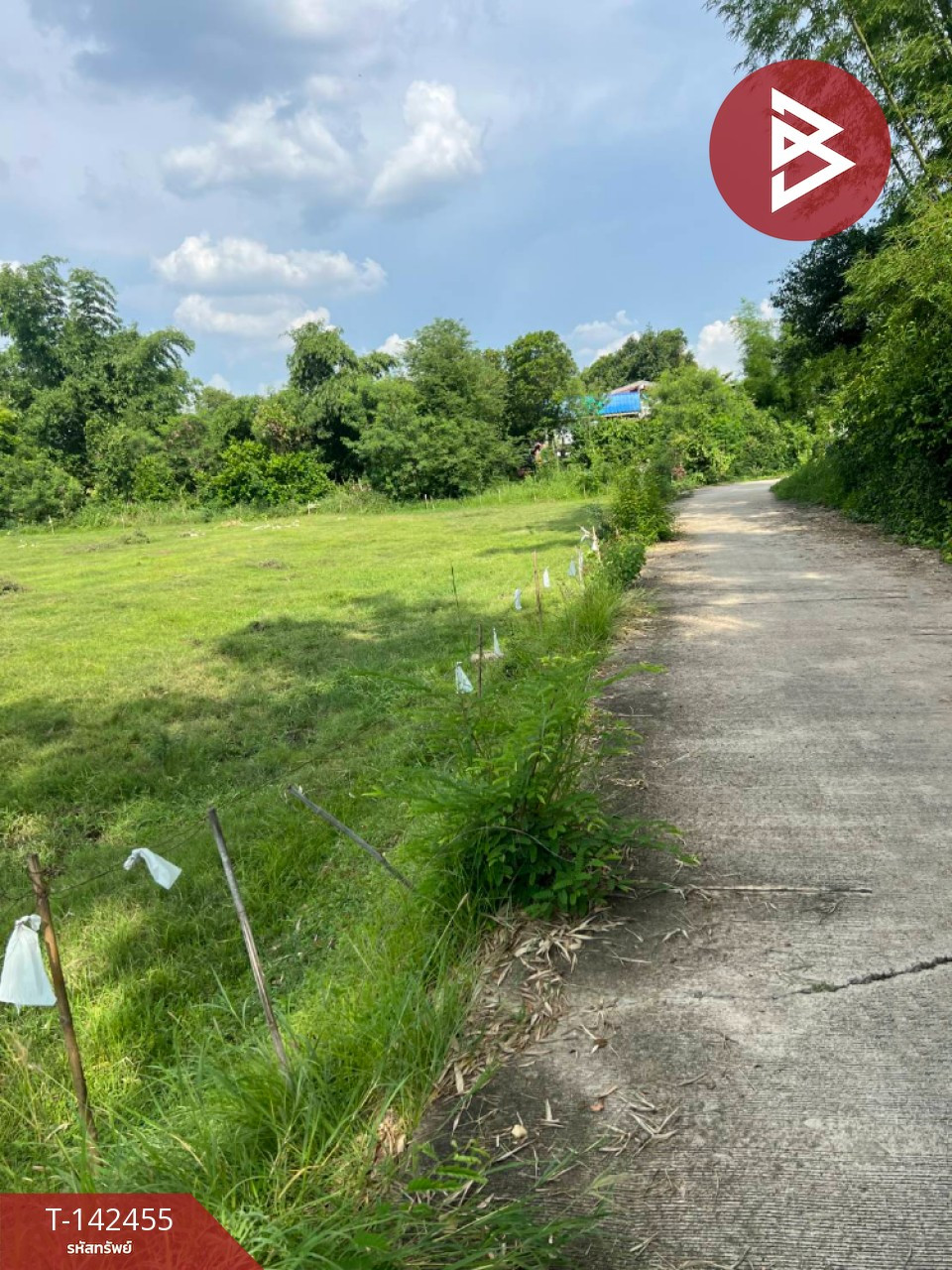 Urgent sale of land, area 10 rai 27 square wah, Sao Hai, Saraburi.