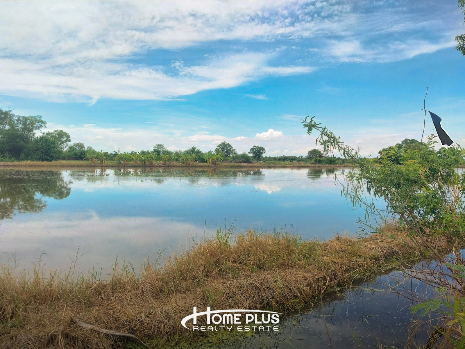 1 rai of land near M81, Khlong Yong Subdistrict, Phutthamonthon District, Nakhon Pathom – รูปที่ 4