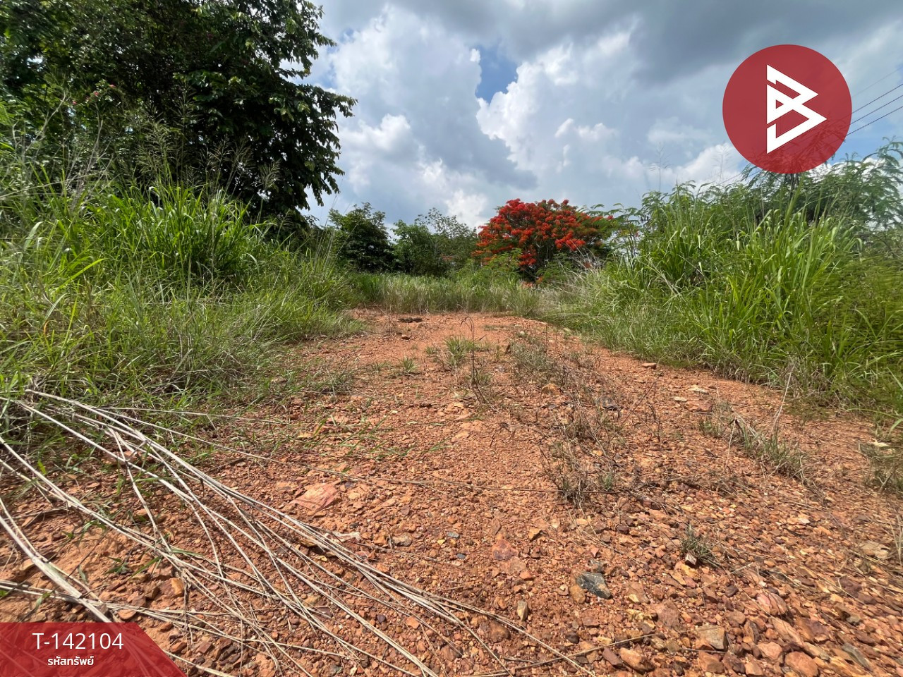Land for sale, already filled, area 1 rai 3 ngan 21.0 square wah, Khao Yai-Pak Chong, Nakhon Ratchasima. Land for sale, already filled, area 1 rai 3 ngan 21.0 square wah, Khao Yai-Pak Chong, Nakhon Ratchasima.