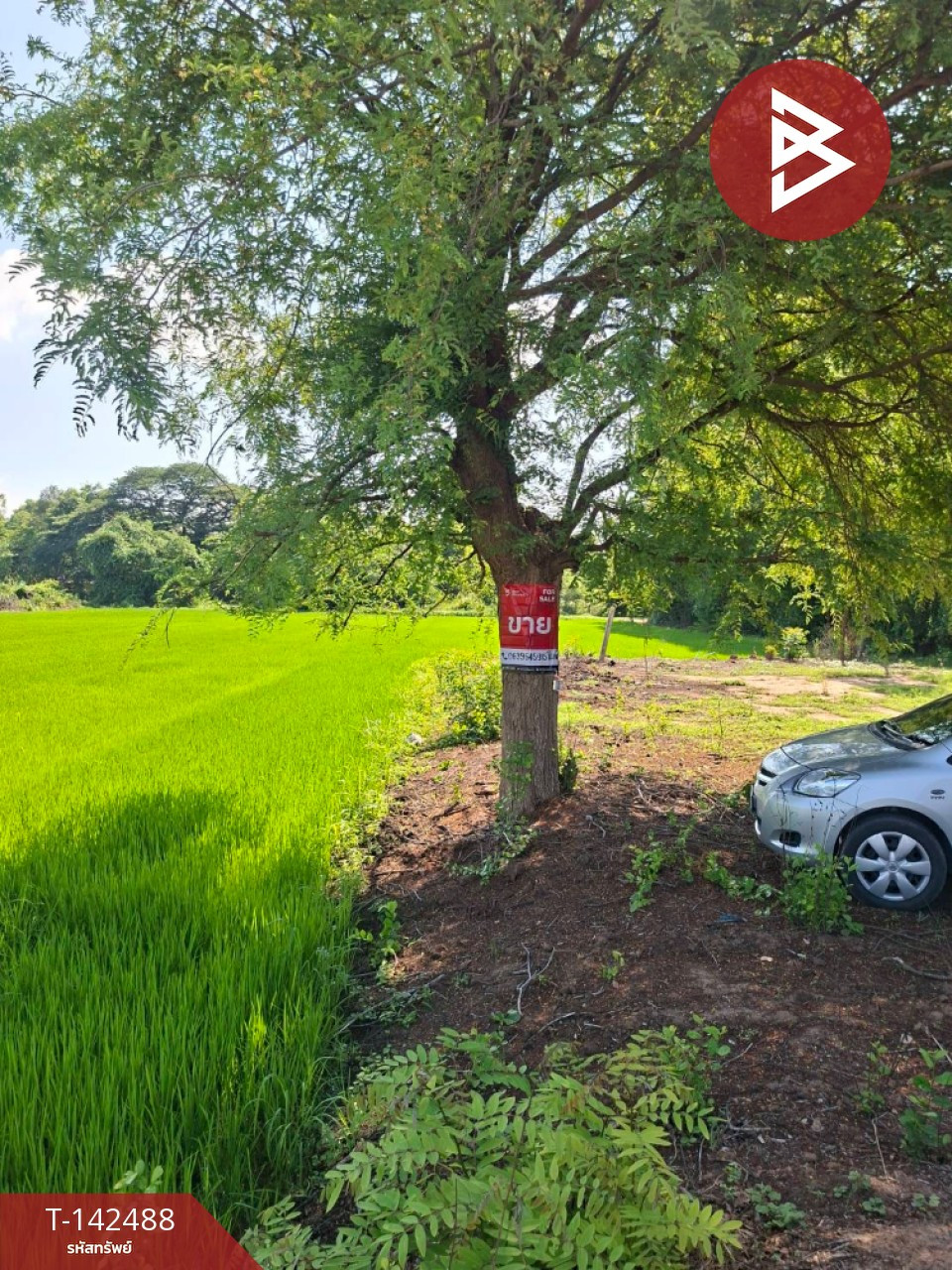 ขายที่ดิน เนื้อที่ 2 ไร่ 1 งาน 17.0 ตารางวา สามชุก สุพรรณบุรี – รูปที่ 4