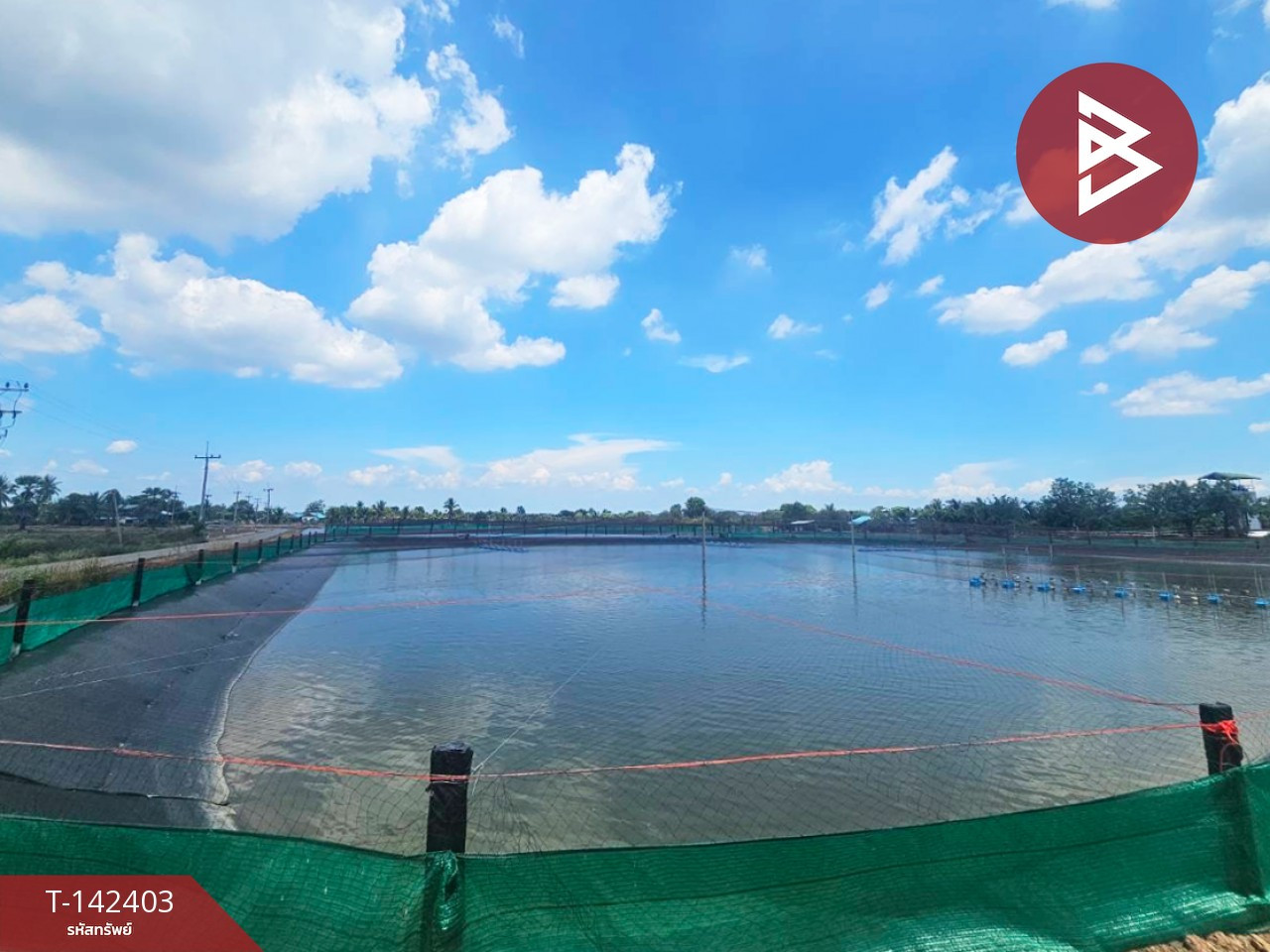 Land for sale, area 17 rai 3 ngan 26 sq m, Bang Khla, Chachoengsao. – รูปที่ 4