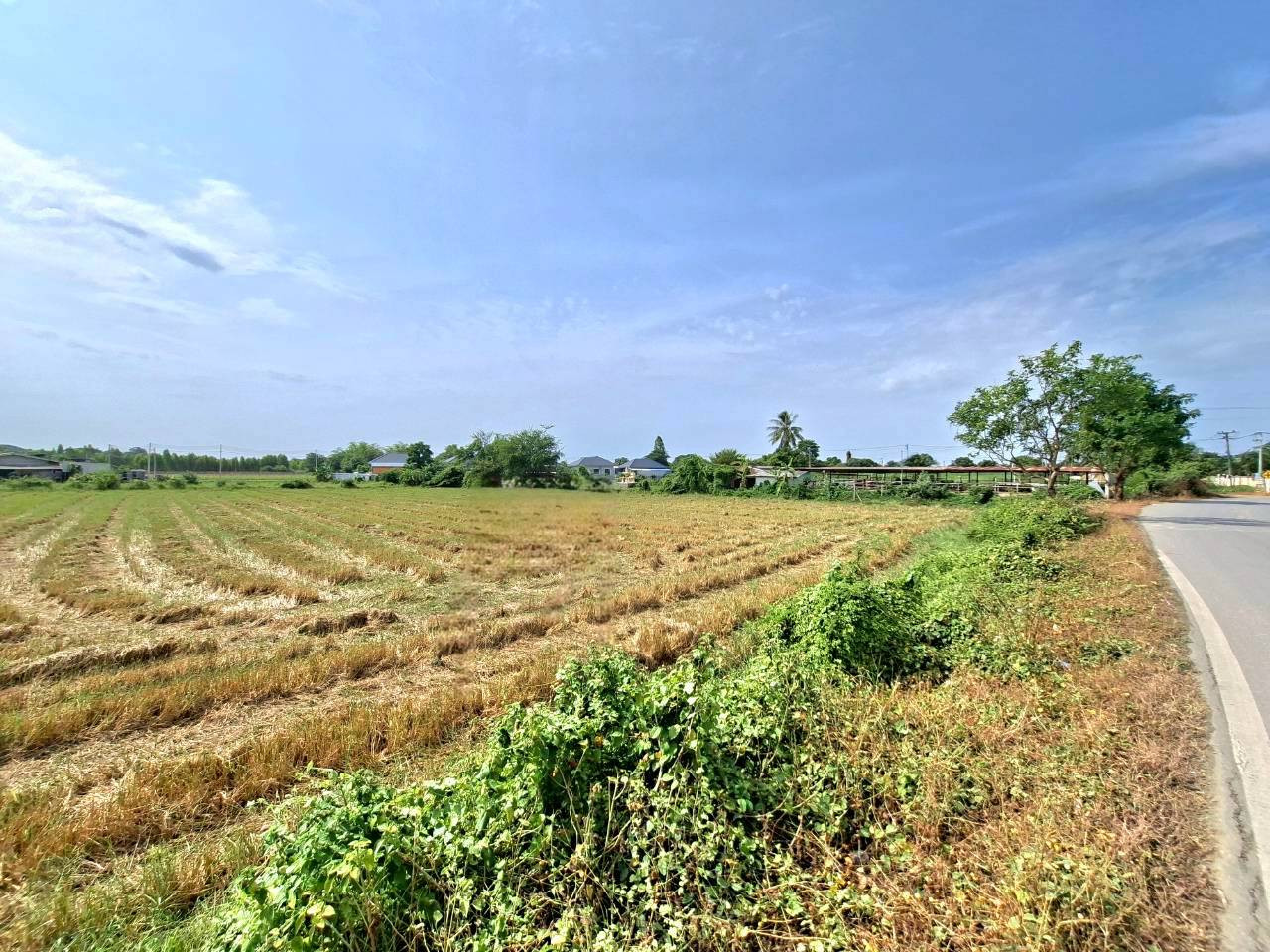 ขายที่ดินติดถนนสองด้าน ตำบลหนองกบ, อำเภอบ้านโป่ง – รูปที่ 3