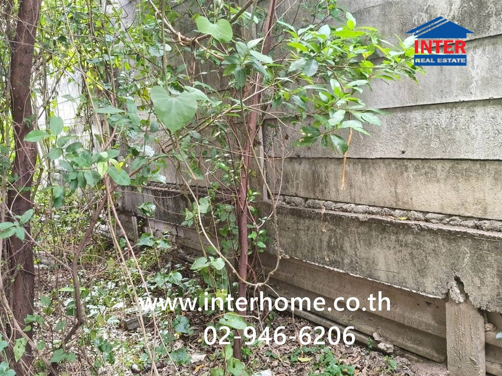 Empty land 50 sq m. Land, Soi Khlong Ha Tawan Tok (Soi Phum Phuang), Rangsit-Nakhon Nayok Road (Highway 305), Khlong Luang, Pathum Thani. – รูปที่ 2