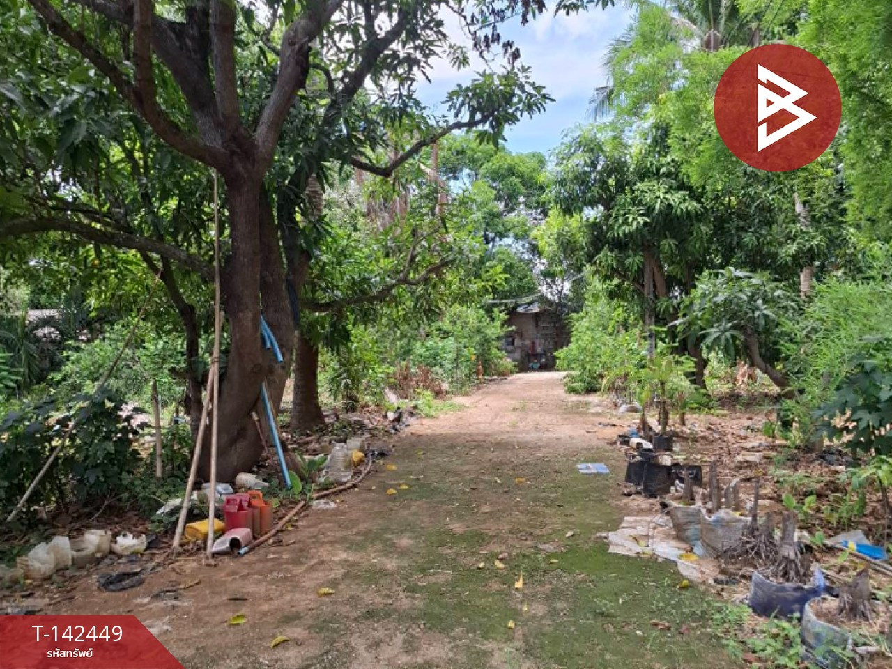 ขายที่ดิน เนื้อที่ 6 ไร่ 50 ตารางวา ต.หนองหญ้า เมืองกาญจนบุรี – รูปที่ 3