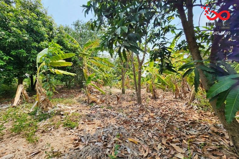ขายที่ดินถมแล้ว 400 ตร.ว. วัดลาดปลาดุก บางคูรัด บางบัวทอง นนทบุรี – รูปที่ 2